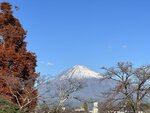 IMG_3994