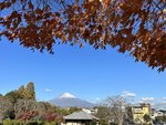 IMG_3996