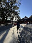 IMG_4036