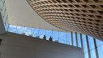 IMG_E3901