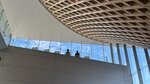 IMG_E3902