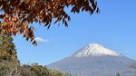 IMG_E3998