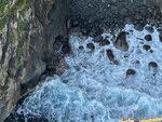 IMG_4478