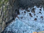 IMG_4479