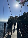 IMG_4561