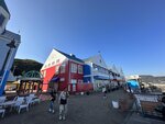 IMG_4576