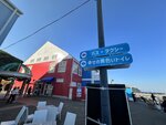 IMG_4582