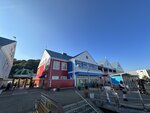 IMG_4583