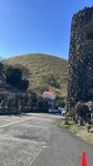 IMG_E4460