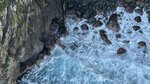 IMG_E4479