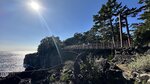 IMG_E4494