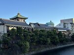 IMG_4608