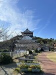 IMG_4678