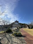 IMG_4679