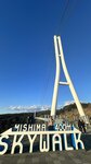 IMG_E5049