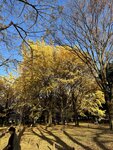 IMG_5160