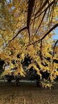 IMG_E5176