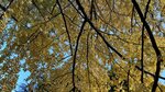 IMG_E5185