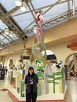 IMG_5231