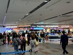 IMG_5327
