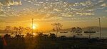 IMG_20231120_065643