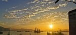 IMG_20231120_070021