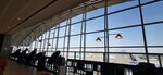 IMG_20231120_085513