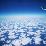 IMG_20231120_122401