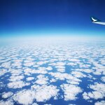 IMG_20231120_122408