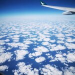 IMG_20231120_122417