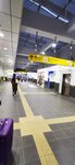 IMG_20231120_165335