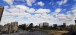 IMG_20231121_084439