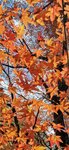 IMG_20231121_124544