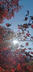 IMG_20231121_133309