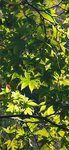 IMG_20231121_135825