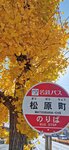 IMG_20231122_125652