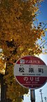 IMG_20231122_125704