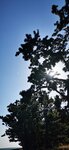 IMG_20231124_130513