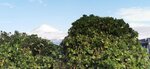 IMG_20231126_111612