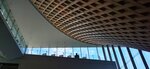 IMG_20231126_125459