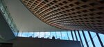 IMG_20231126_125500