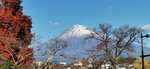 IMG_20231126_141338