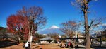 IMG_20231126_141903