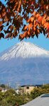 IMG_20231126_141940