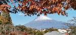 IMG_20231126_142023