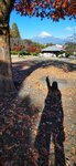 IMG_20231126_142348