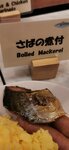 IMG_20231127_070420