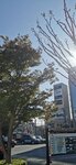 IMG_20231127_100234