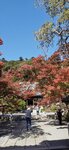 IMG_20231127_121839