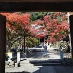 IMG_20231127_121925